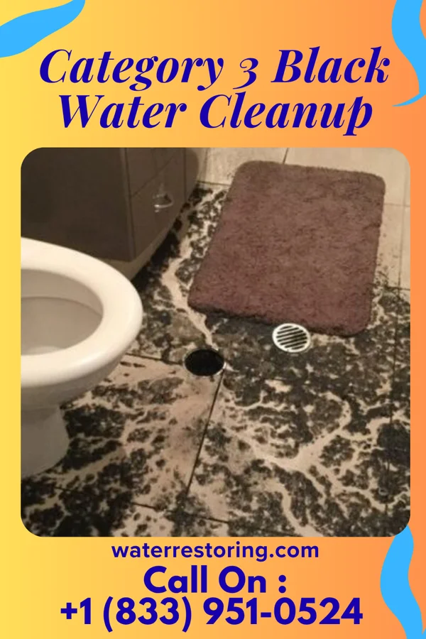 Category 3 Black Water Cleanup in Palm Beach Shores, FL