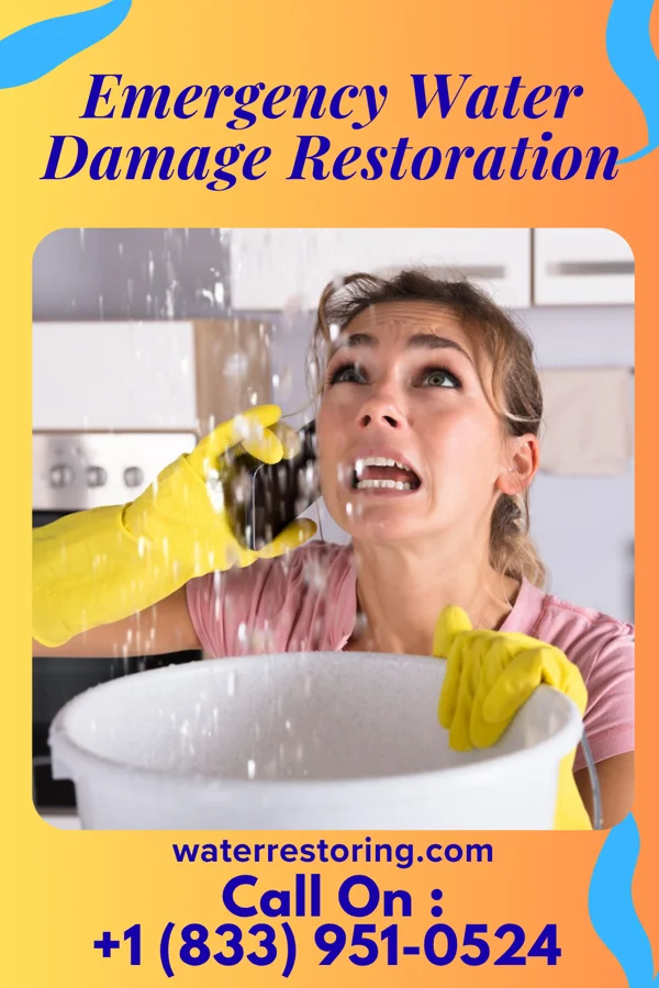 Emergency Water Damage Restoration in Palm Beach Shores, FL