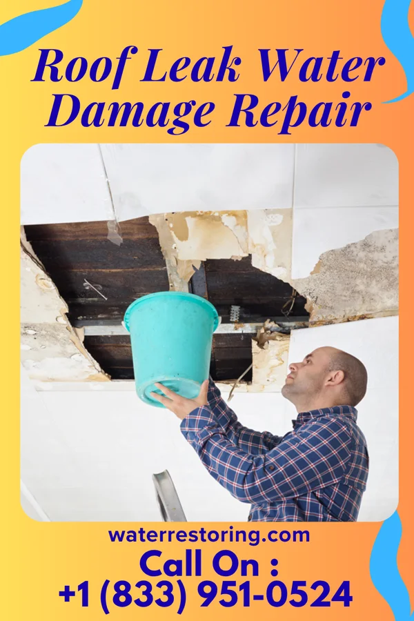 Roof Leak Water Damage Repair in Palm Beach Shores, FL
